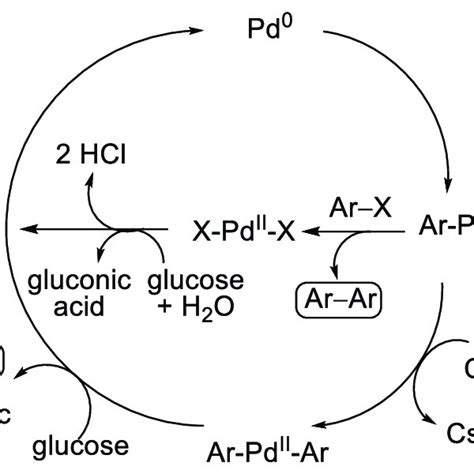 Scheme 11. The proposed reaction mechanism for the Ullmann homocoupling... | Download Scientific ...