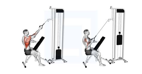 Resistance Band Rear Delt Row Guide Benefits And Form