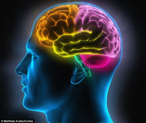 ear   researchers find   brain decides   listen