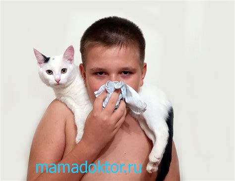 Аллергия на кошку. Симптомы. Особенности у детей.Мама — доктор. Для ...
