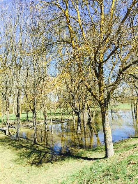 En El Anillo Verde De Vitoria Gasteiz Anillos Verdes Paisajes Verde