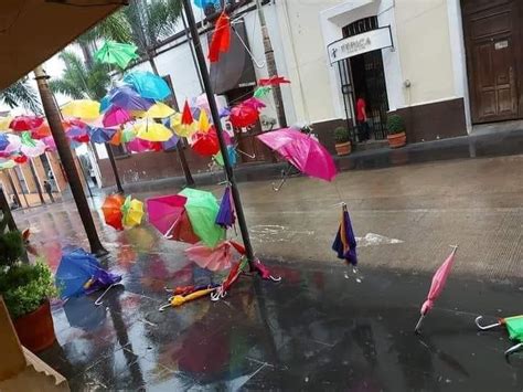 Lluvias Dejan Rboles Ca Dos Y Afectaciones En Municipios En Veracruz