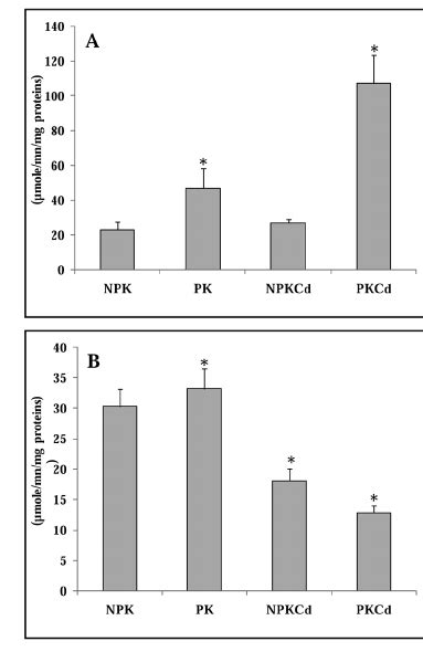 CAT activity μmol min mg of proteins in shoots A and roots B of