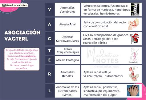 asociacion vacterl claudia mercedes paz matellini udocz