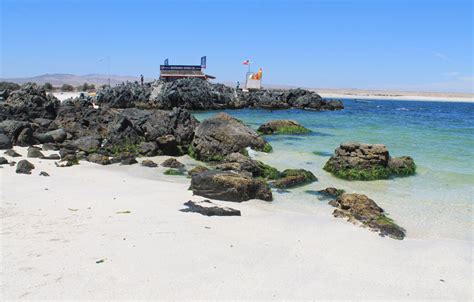 Bahia Inglesa: One of the Best Beaches in Chile - Jonistravelling ...