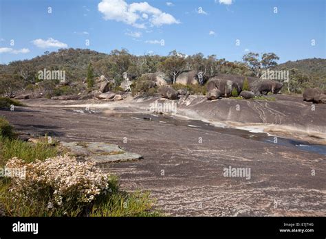 Girraween National Park Granite Belt Queensland Australia Stock