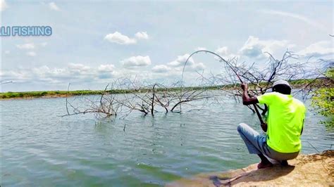 Awesome Fishing Single Hook Fisherman Catching Rohu Fishing And Black