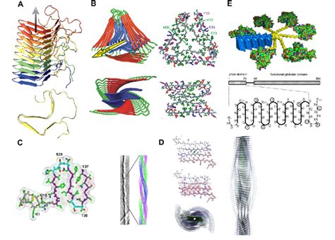 Molecular Structure Models Of Amyloid Fibrils Aided By Packing