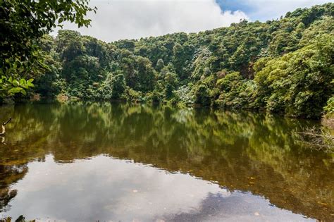 Barva Lagoon In Braulio Carillo National Park Costa Rica Costa Rica