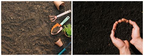 blonde  black peat differences   murgiplast