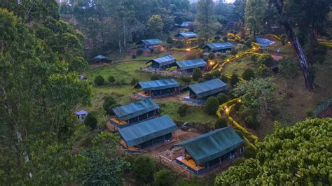 Nature Zone Resort Tree House In Munnar Trip Kerala