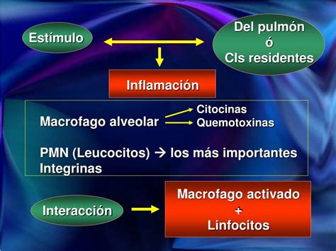 Ppt Insuficiencia Respiratoria Aguda En El Ni O Powerpoint