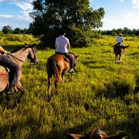 Pacotes De Viagem Para Pantanal Viagem Para Pantanal Freeway