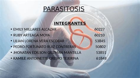 Par Sitosis Resumen Exposici N Esquemas Y Mapas Conceptuales De