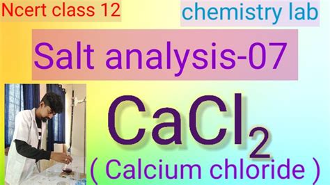 NCERT Class 12 Chemistry Practical Salt Analysis 07 CaCl2 Calcium