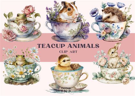 Watercolor Teacup Animals Clipart Bundle Cottagecore Vintage Animals
