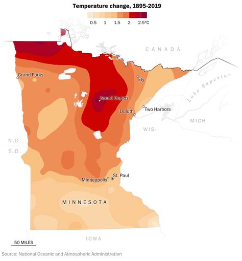 Scientists are trying to save Minnesota’s North Woods forest from