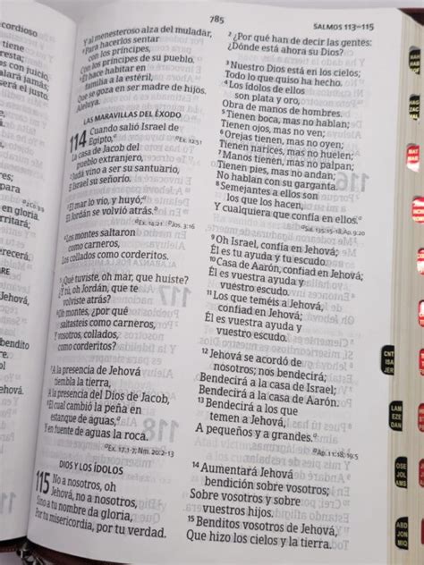 Biblia Rvr Letra S Per Gigante Negro Forro De Lujo Con Ndice Y