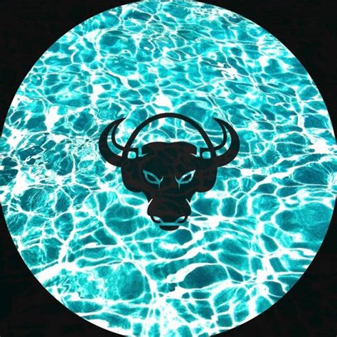 Stream 305 Pool Party Mix By Camilo Toro Listen Online For Free On