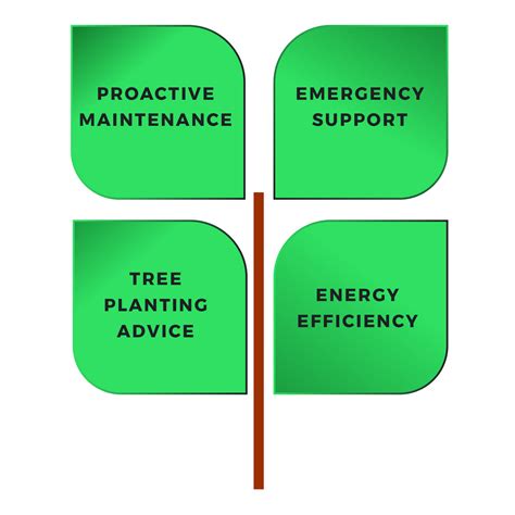 Guide to Selecting the Perfect Tree Service Provider 