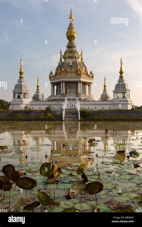 Con Estanque De Loto Nelumbo Delante De Maha Rattana Chedi De Wat