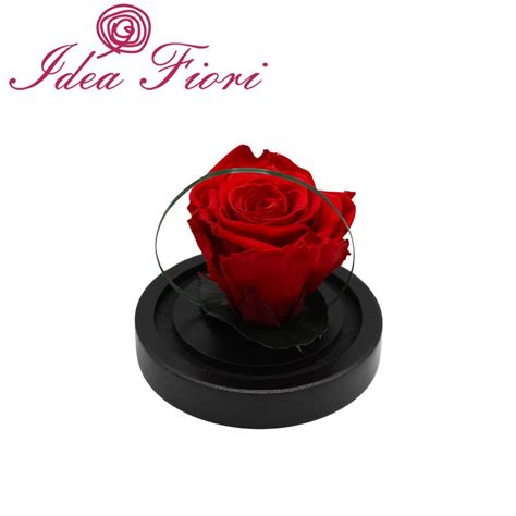 Ars Nova Rosa Incantata Rossa Senza Stelo Idea Fiori