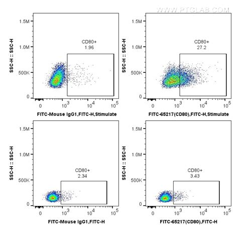 Cd Antibody Fitc Proteintech