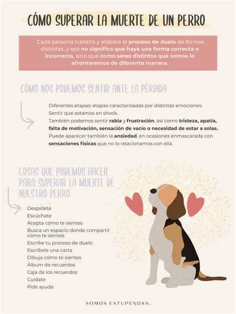 Libros Para Superar La Pérdida De Una Mascota Recomendaciones Y Consejos