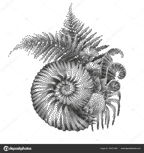 Prehistoric Graphic Seashell And Fern Branches Stock Vector By