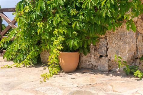 Terrassengestaltung mit Naturstein Tipps und Trends für Ihr Zuhause im