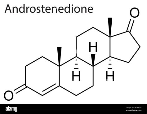 Vector File Of The Chemical And Molecule Structure Of Androstenedione Stock Vector Image And Art