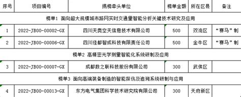 2023年第一批成都市“揭榜挂帅”科技项目拟立项项目名单 哔哩哔哩