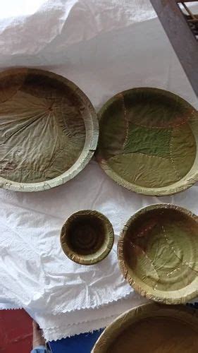 Inch Original Siali Herbal Leaf Buffet Plates At Rs Piece