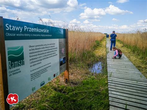 Przemkowski Park Krajobrazowy Stawy Przemkowskie Kasai podróże w