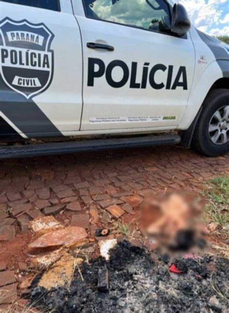 Pol Cia Indicia Homem Pelo Crime De Maus Tratos Contra C Es Em