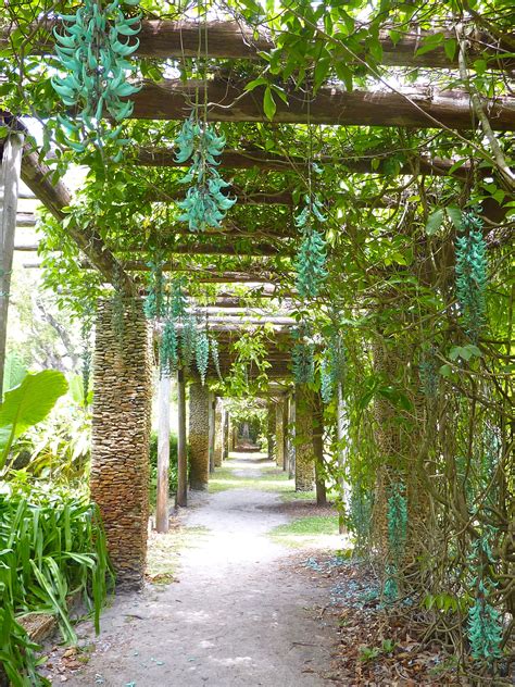 Arbor Fairchild Botanical Garden Jade Vine Projeto Paisagístico