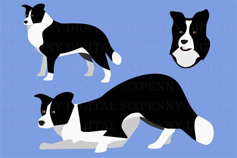 Border Collie Clipart Digital Image Printable Border Collie Art