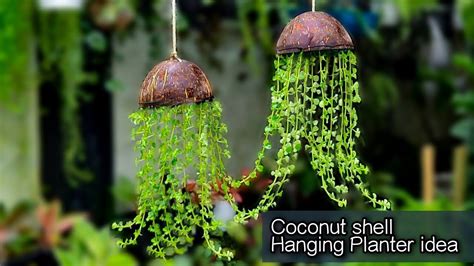 Coconut Shell Hanging Planter Idea Easy Jellyfish Hanging Planter