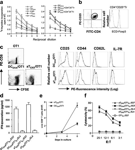 Stimulation Of Cd8 Memory T Cell Responses In Vitro A In Vitro Cd8