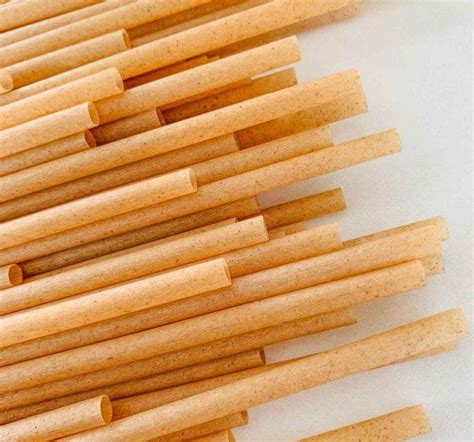 16 Alternative Straws To Plastic Straws You Need To Know Eco Friendly