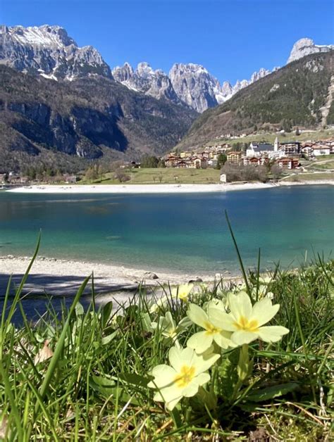 Passeggiate Facili In Trentino Alto Adige