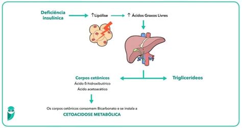 Resumo de Cetoacidose Diabética causas quadro clínico e mais