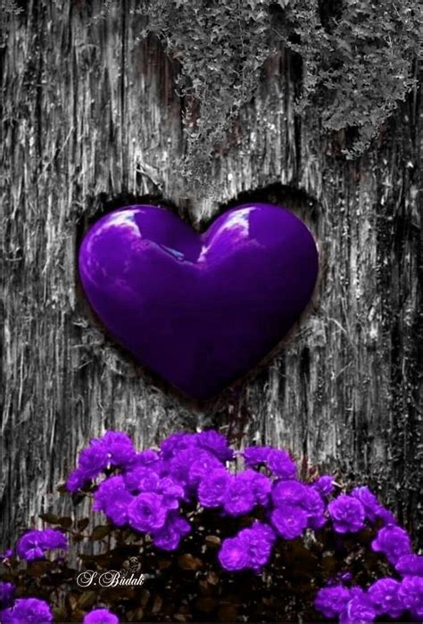 Pin By Valdirene Turci On Flores Purple Art Purple Love Purple Flowers