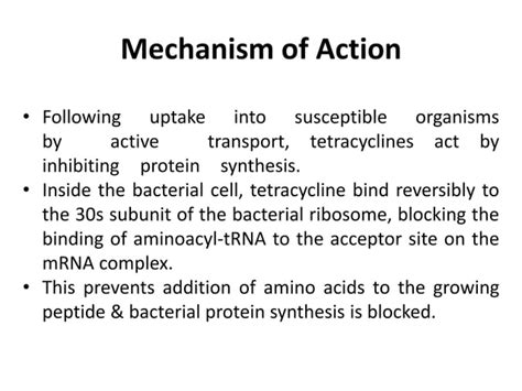 Tetracyclines Aminoglycosides Chloramphenicol Macrolides Ppt