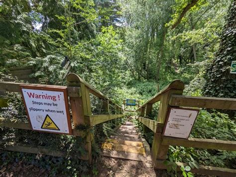 Steps Down To Condover Woodland Park © Tcexplorer Cc By Sa20