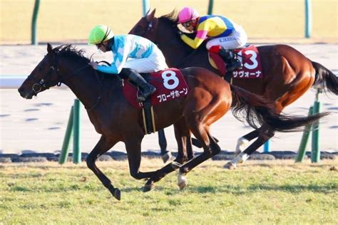 【日経新春杯】ブローザホーンが重賞初制覇 その他競技 スポーツブル スポブル