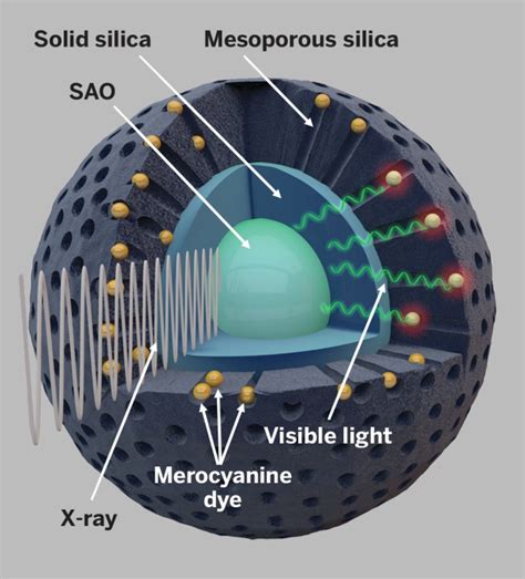 Nanoparticle Takes Photodynamic Therapy To Deep Tumors