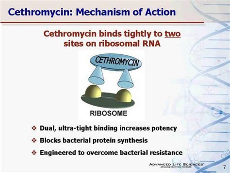 Ketolides Cethromycin Bronchitis