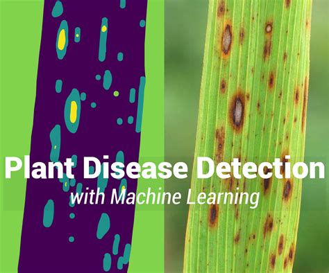 Github Poulinakis Konstantinos Deep Learning Plant Disease Detector