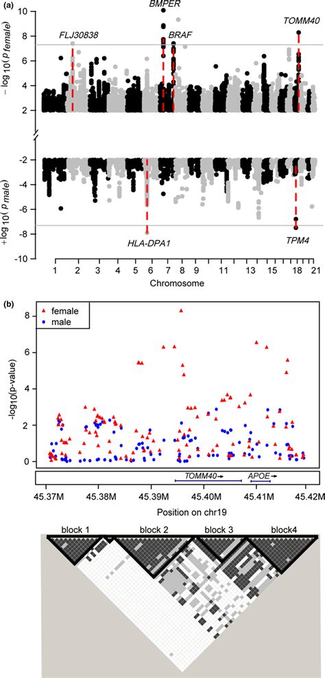 Sex Differences In Genetic Associations With Longevity A Manhattan Download Scientific